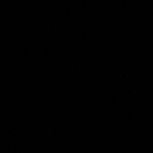 Meet your Posher, Bartelisha